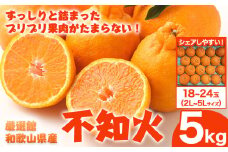 和歌山県産 不知火 約5kg 2L～5Lサイズ(18～24玉おまかせ) 日高町厳選館《2月中旬-4月上旬頃出荷》和歌山県 日高町 送料無料 柑橘 柑橘類 でこぽん 不知火 しらぬい デコ デコポン