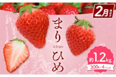 【2026年2月発送】和歌山県産ブランドいちご「まりひめ」約300g×4パック 計1.2kg 日高町厳選館《2026年2月上旬-2月中旬頃出荷》和歌山県 日高町 いちご 苺 まりひめ フルーツ 果物 スイーツ 送料無料【配送不可地域あり】