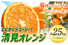 ＜先行予約＞とにかくジューシー 清見 オレンジ 2.5kg 株式会社魚鶴商店《2026年3月下旬-4月中旬頃出荷》和歌山県 日高町 柑橘 果物 フルーツ 清見オレンジ