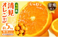 【濃厚】有田産 清見 オレンジ 約 5kg（M～3Lサイズおまかせ）青秀以上 日高町厳選館《2025年2月中旬-3月末頃より出荷予定》和歌山県 日高町 柑橘 果物 フルーツ 清見オレンジ
