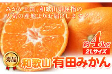 秀品 和歌山有田みかん 約4kg(2Lサイズ) 厳選館《11月中旬-1月末頃出荷》 和歌山県 日高町 みかん 有田みかん 柑橘 フルーツ