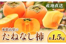 ＜10月より発送＞たねなし柿 1.5kg 刀根早生 平核無柿 ひらたねなしかき 池田鹿蔵農園《10月上旬-12月上旬頃出荷》 和歌山県 日高町 柿 カキ かき たねなし ジューシー フルーツ 種無柿 種無し柿 種なし柿 無核柿