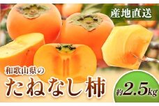 ＜10月より発送＞たねなし柿  2.5kg 刀根早生 平核無柿 ひらたねなしかき 池田鹿蔵農園《10月上旬-12月上旬頃出荷》 和歌山県 日高町 柿 カキ かき たねなし ジューシー フルーツ 種無柿 種無し柿 種なし柿 無核柿