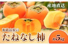 ＜10月より発送＞たねなし柿  5kg 刀根早生 平核無柿 ひらたねなしかき 池田鹿蔵農園《10月上旬-12月上旬頃出荷》 和歌山県 日高町 柿 カキ かき たねなし ジューシー フルーツ 種無柿 種無し柿 種なし柿 無核柿