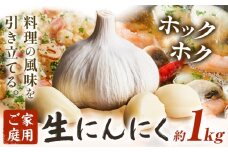 にんにく 野菜 和歌山県産 生にんにく 約1kg ご家庭用 厳選館 《2026年5月上旬-5月中旬頃出荷》 和歌山県 日高町 ガーリック 青果物