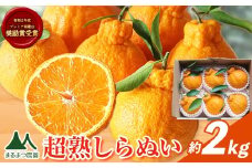 採れたて新鮮 濃厚な甘さ 超完熟しらぬい 約2kg まるまつ農園《3月中旬-4月末頃出荷》 和歌山県 日高町 不知火 しらぬい デコポン と同品種 でこぽん 柑橘