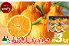 採れたて新鮮 濃厚な甘さ 超完熟しらぬい 約3kg まるまつ農園《3月中旬-4月末頃出荷》 和歌山県 日高町 不知火 しらぬい デコポン と同品種 でこぽん 柑橘