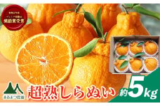 採れたて新鮮 濃厚な甘さ 超完熟しらぬい 約5kg まるまつ農園《3月中旬-4月末頃出荷》 和歌山県 日高町 不知火 しらぬい デコポン と同品種 でこぽん 柑橘