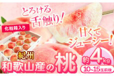 紀州 和歌山産 の 桃　約4kg 10〜15玉　化粧箱入 株式会社魚鶴商店 《2026年6月下旬-8月上旬より発送予定》  和歌山県 日高町 桃 もも モモ 果物 くだもの 