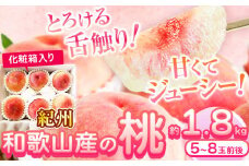 紀州和歌山産の桃 約1.8kg 5〜8玉 化粧箱入 株式会社魚鶴商店 《2026年6月下旬-8月上旬より発送予定》  和歌山県 日高町 桃 もも モモ