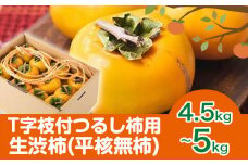 T字枝付つるし柿用生渋柿 4.5～5kg ふるさと農園《10月中旬-11月下旬頃出荷》 和歌山県 日高町 