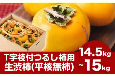 T字枝付つるし柿用生渋柿 14.5～15kg ふるさと農園《10月下旬-11月下旬頃出荷》 和歌山県 日高町 