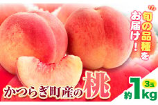 【先行予約】桃 かつらぎ町産 約 1kg 道の駅 くしがきの里《2026年6月上旬-8月中旬頃出荷》 和歌山県 日高町 果物 フルーツ 桃 もも モモ 旬