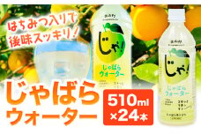 じゃばらウォーター 510m×1ケース 24本入り 株式会社じゃばらいず北山《90日以内に出荷予定(土日祝除く)》和歌山県 日高町 じゃばら 邪払 柑橘 フルーツ ジュース 