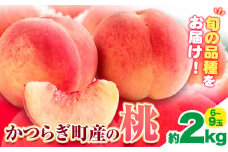 【先行予約】桃 かつらぎ町産 約 2kg 道の駅 くしがきの里《2026年6月上旬-8月中旬頃出荷》 和歌山県 日高町 果物 フルーツ 桃 もも モモ 旬