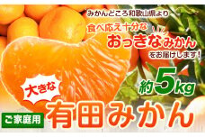 ＜先行予約＞家庭用 大きな 有田 みかん 5kg+250g（傷み補償分）【わけあり・訳あり】【光センサー選果】 池田鹿蔵農園@日高町（池田農園株式会社）《11月中旬-2月中旬頃出荷》和歌山県 日高町 蜜柑 ミカン 柑橘【配送不可地域あり】