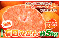 みかん 家庭用 完熟 有田みかん 5kg+250g （傷み補償分）【光センサー選果】池田鹿蔵農園@日高町（池田農園株式会社）《11月中旬-1月末頃出荷》和歌山県 日高町 訳あり わけあり みかん【配送不可地域あり】