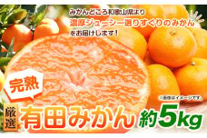 ＜先行予約＞厳選 完熟有田みかん 5kg+250g（傷み補償分）【光センサー選果】 池田鹿蔵農園@日高町（池田農園株式会社）《11月中旬-1月末頃出荷》和歌山県 日高町 みかん 有田みかん 完熟 厳選【配送不可地域あり】 