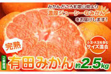 みかん 家庭用 完熟 有田みかん 2.5kg+250g （傷み補償分）【光センサー選果】池田鹿蔵農園@日高町（池田農園株式会社）《2025年11月中旬-1月末頃出荷》和歌山県 日高町 訳あり わけあり みかん【配送不可地域あり】