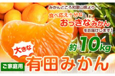 ＜先行予約＞家庭用 大きな 有田 みかん 10kg+250g（傷み補償分）【わけあり・訳あり】【光センサー選果】 池田鹿蔵農園@日高町（池田農園株式会社）《11月中旬-1月下旬頃出荷》和歌山県 日高町 蜜柑 ミカン 柑橘