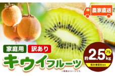 先行予約 ご家庭用 キウイ フルーツ 2.5kg+250g（傷み補償分） 池田鹿蔵農園@日高町（池田農園株式会社）《11月中旬～5月中旬まで出荷》和歌山県 日高町 わけあり 訳あり 扁平果 【配送不可地域あり】