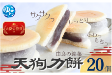 老舗の味 天狗力餅20個入　和菓子　力もち　こし餡　職人の手作り / 銘菓 和菓子 こしあん 由良町 お取り寄せ お土産 ギフト 和歌山県【knkd001】