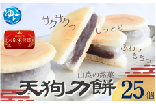 老舗の味 天狗力餅25個入　和菓子　力もち　こし餡　職人の手作り / 銘菓 和菓子 こしあん 由良町 お取り寄せ お土産 ギフト 和歌山県【knkd002】