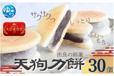 老舗の味 天狗力餅30個入　和菓子　力もち　こし餡　職人の手作り / 銘菓 和菓子 こしあん 由良町 お取り寄せ お土産 ギフト 和歌山県【knkd003】