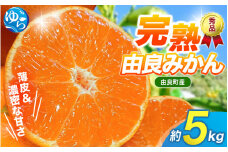 【先行予約】薄皮で濃い甘さ！完熟由良みかん【秀】5kg×1箱（混サイズ）和歌山県由良産※2025年11月下旬頃から順次発送予定(お届け日指定不可) / 柑橘 ミカン 蜜柑 甘い 由良町 フルーツ 果物 くだもの 食品 人気 おすすめ 産地直送 由良町【ktym008】