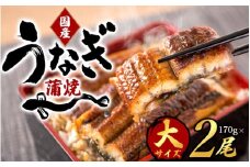 大型サイズふっくら柔らか 国産うなぎ蒲焼き 2尾（約170g×2）/ うなぎ 土用の丑の日 国産うなぎ 蒲焼 蒲焼き かば焼き 鰻屋 冷凍 真空 ギフト 【uot302A-3】