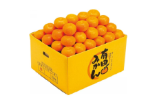 【赤秀ランク】完熟有田みかん 10kg（約70個）※2025年12月初旬より順次発送 /  有田 ミカン 蜜柑 プレミアム 秀品 フルーツ 果物 柑橘 和歌山県 由良町 【stmr003】