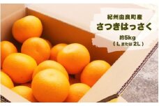 紀州由良町産 さつきはっさく  約5kg(Lまたは2Lサイズ）【sml133】