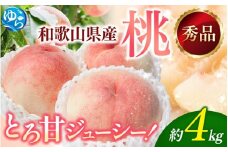 【2026年産】和歌山の桃　約4kg・秀選品★2026年6月下旬～8月上旬頃順次発送★【TM168】【tec911B】