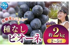 【2025年産 配送開始！】和歌山かつらぎ町産たねなしピオーネ約2kg★2025年8月中旬頃より順次発送【TM164】/ ピオーネ ぶどう 葡萄 和歌山 由良 旬 甘い 種なし 高級 大粒【tec500A】