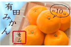紀州有田みかん　秀品　約１０kg　サイズおまかせ(Ｌ・М・Ｓ) 【sml109B】 ※2025年11月下旬～2026年1月中旬頃順次発送予定