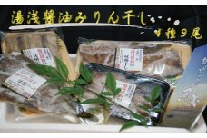湯浅醤油みりん干し4品種9尾入りの詰め合わせ【和歌山の近海でとれた新鮮魚】【TM64】【tec200A】