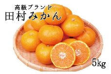 高級ブランド田村みかん　5kg【2025年11月下旬以降発送】【先行予約】【UT14】【uot504A】