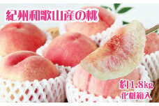 紀州和歌山産の桃　約1．8kg　化粧箱入【2025年7月上旬より順次発送】【UT52】【uot720-2】