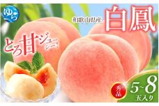 白鳳 桃 5～8玉入り 秀品 【2026年6月下旬以降発送】桃 モモ フルーツ 果物 くだもの 人気 産地直送 厳選 甘い 予約 もも フルーツ王国【mtgn053B】