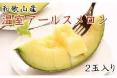   [産地直送]和歌山産の温室アールスメロン2玉入り(秀品)★2025年7月中旬頃より順次発送予定【tecj1029】