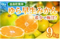【先行予約】和歌山県産 ゆら早生みかん 9kg  ※2025年10月中旬頃より順次発送予定 / 和歌山県 柑橘 みかん 甘い 蜜柑 フルーツ 果物 くだもの 食品 人気  晩柑 おすすめ 送料無料 産地直送 由良町【kzmn006】