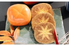 【希少】紀の川柿約1.8～2kg（種無し）秀選品★2025年10月中旬頃より順次発送【TM191】【tec405B】