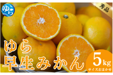 【先行予約】秀品 ゆら早生みかん 5kg サイズおまかせ（2S～L） / 数量限定 ミカン 蜜柑 温州ミカン 柑橘 フルーツ くだもの 産地直送 由良町 和歌山【kjen004】