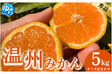 【先行予約】秀品 温州みかん5kg サイズおまかせ（S～L） / 数量限定 ミカン 蜜柑 温州ミカン 柑橘 フルーツ くだもの 産地直送 由良町 和歌山【kjen002】