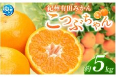 紀州 有田みかん 「こつぶちゃん」 約5kg / みかん 温州みかん 小粒 小玉 こだま 甘い 和歌山 由良 フルーツ 柑橘  ※2025年11月下旬～2026年1月中旬頃発送予定【sml117A】 