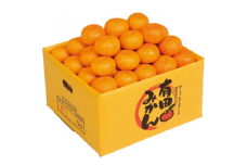 【赤秀ランク】完熟有田みかん 5kg（約30個）※2025年12月初旬より順次発送 /  有田 ミカン 蜜柑 プレミアム 秀品 フルーツ 果物 柑橘 和歌山県 由良町【stmr004】