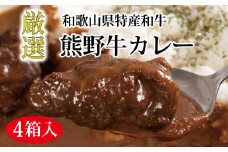 熊野牛カレー4食セット【mtf102】