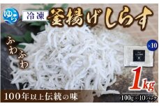 冷凍釜揚げしらす1kg（100g×10） / 小分け 釜揚 シラス しらす丼 国産 冷蔵 個包装 魚 お魚 さかな 食品 和歌山県 由良町【dig003】