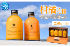 柑橘4種　ジュースセット 250ml×4本 ※ギフト対応可※ / 和歌山県 柑橘 みかん 蜜柑 フルーツ 果物 くだもの 食品 人気 由良町 晩柑 おすすめ 送料無料 産地直送 由良町産 ドリンク【kzmn015】