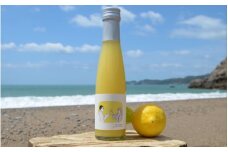 《180ml×3本・リモンチェッロ》綺麗な湧水で育てた完熟レモンでつくりました！【uttn007】